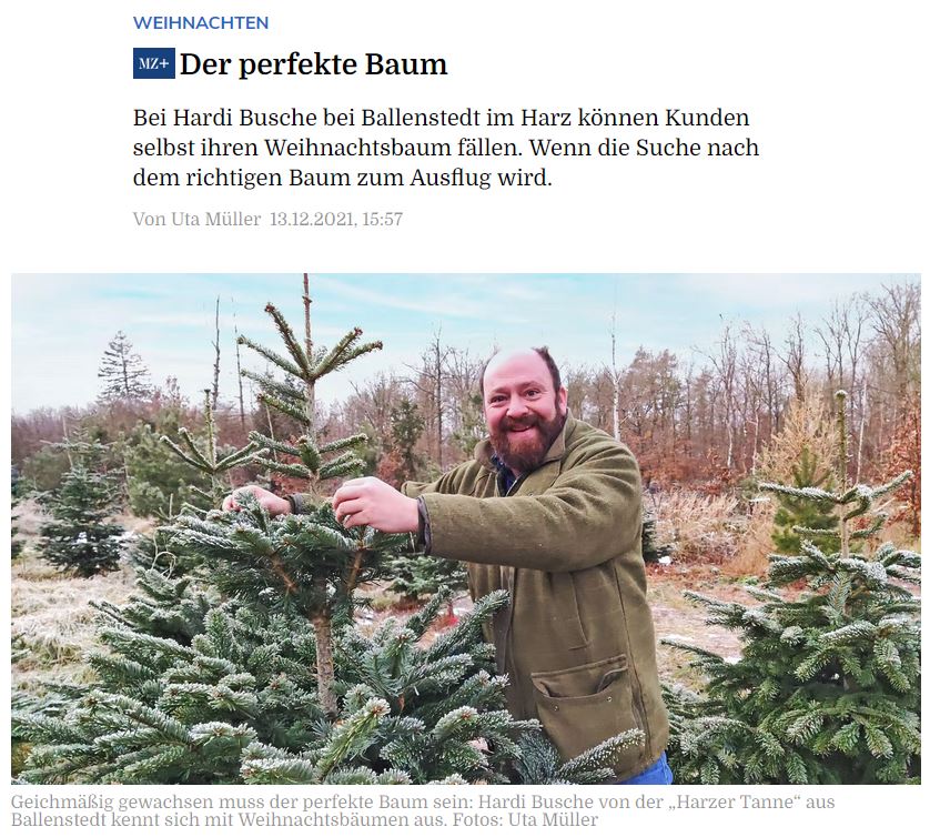 Wo jetzt schon Weihnachten vorbereitet wird